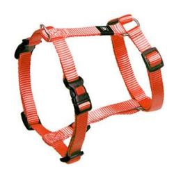 HARNAIS ASP ORANGE 40-70CM 25MM
