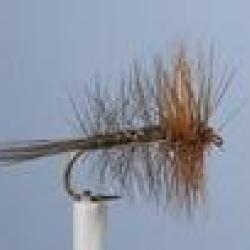 MOUCHE PALMER 1 H16