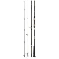 CANNE DAIWA PROCASTER GAME 244 H 20-80GR
