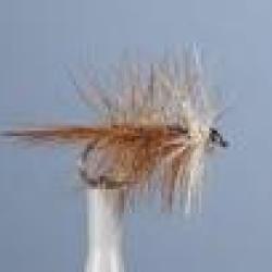 MOUCHE BIVISIBLE 1 H14 NPC