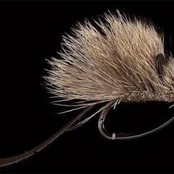SOURIS H6