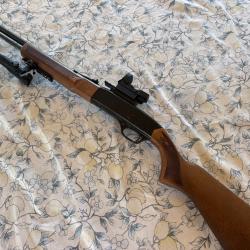 Winchester model 190 22Ir semi-auto cat B