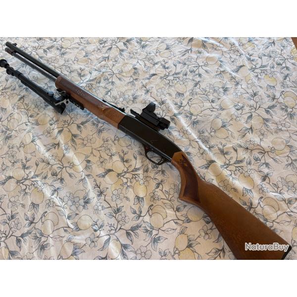 Winchester model 190 22Ir semi-auto cat B