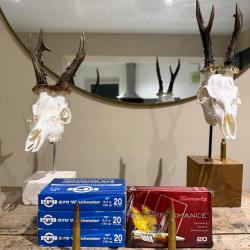Balles 270 win Hornady SST + PPU Partizan