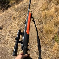 Carabine Browning a bolt