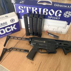 Stribog SP10A3 Charlie ETU AEG Delta Armory