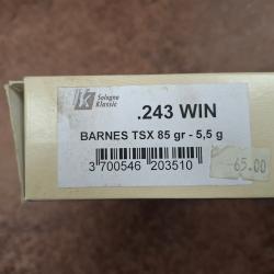 Sologne Klassic 243Win TSX 85gr