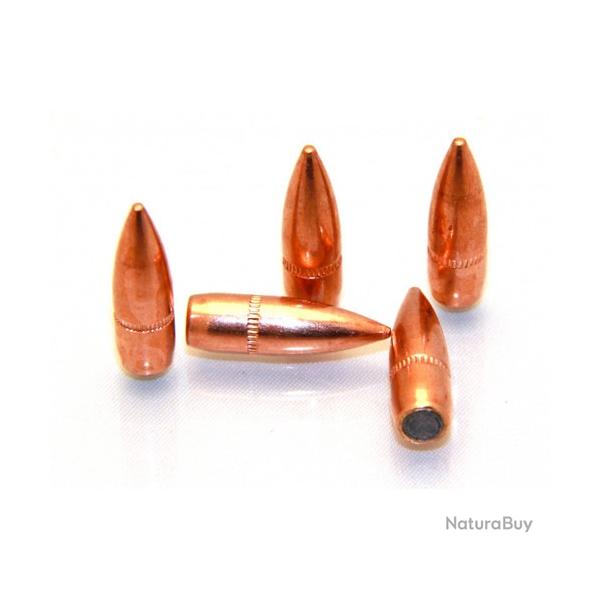 Armscor - 4000 Bullets (Vrac) Cal .223 Rem 55 Grs FMJ - ACP-223-55