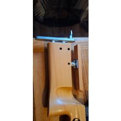 Carabine Steyr lgb-1 Biatlon a plomb