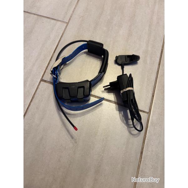 Collier garmin dc50 fr