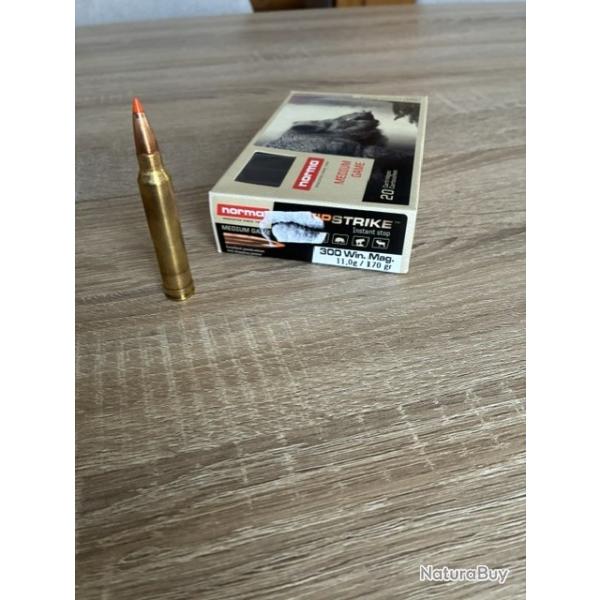 norma tipstrike 300 win