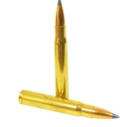 Munitions SOLOGNE 8x64S Nosler BT 180gr - 11.7g x20