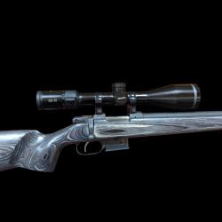 CZ 527 Varmint calibre 222 avec lunette Minox 3-15x56 et Hausken
