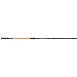CANNE EAUX VIVES SOURCE SALMOCAST 3.10M