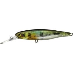 SQUIRREL 7.6CM SP LIME CHART TIGER