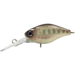 DIVING CHUBBY 3.8CM TRUITELLE