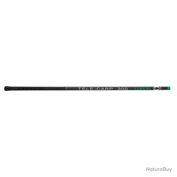 MANCHE TELE CARP 4M