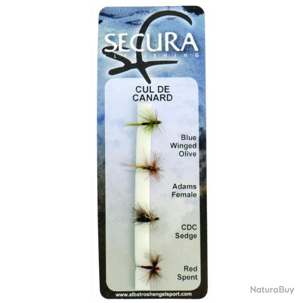 SS4 SECURA CUL DE CANARD