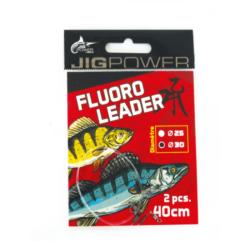 BDL FLUORO CARBON 40CM (x2) 35/100
