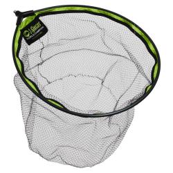 TETE GLOUCESTER 45CM