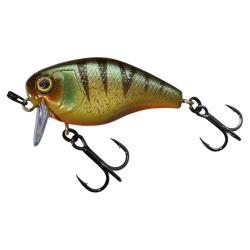 CHUBBY 41 SSR AGGRESSIVE PERCH