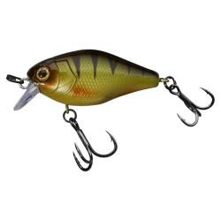 CHUBBY 41 MAT TIGER