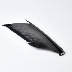 SUBSTITUT DE CONDOR NOIR