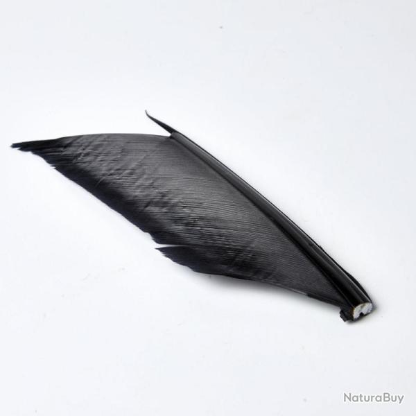 SUBSTITUT DE CONDOR NOIR