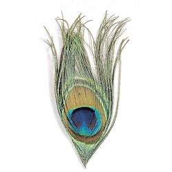 OEIL DE PAON NATUREL