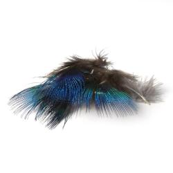 PLUME DE PAON NATUREL BLEU