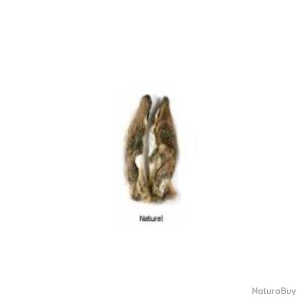 OREILLES DE LIEVRE NATUREL