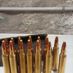 Norma Cal. 300Win 180gr PPDC