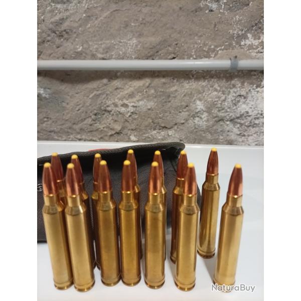 Norma Cal. 300Win 180gr PPDC