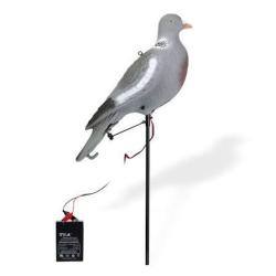 Appelant pigeon picoreur &eacute;lectrique