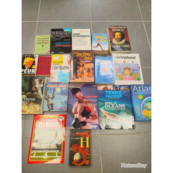 Lot de 18 livres divers