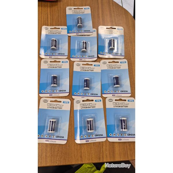 LOT 10 PILES CR123A