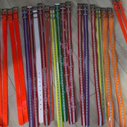 Collier pour chien personnalis&eacute;