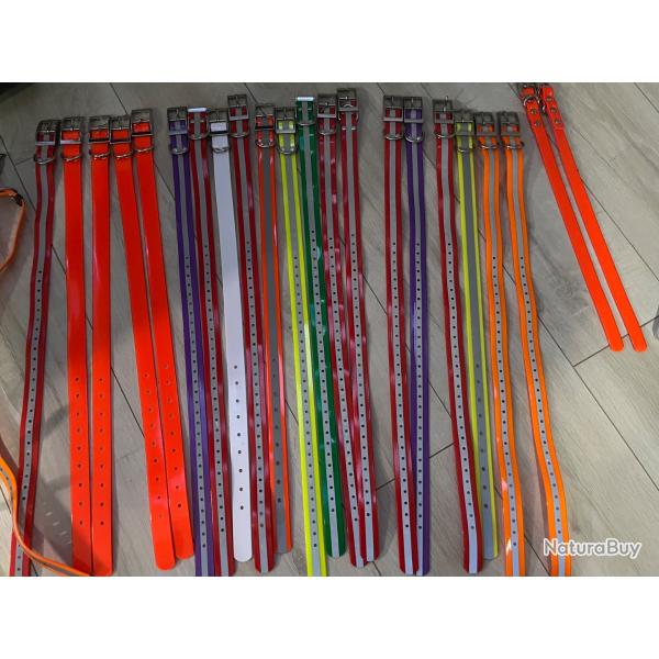 Collier pour chien personnalis�