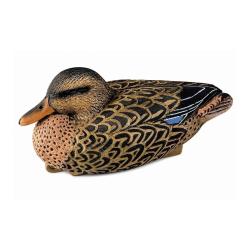 Appelant Colvert Femelle Mousse - 33 cm