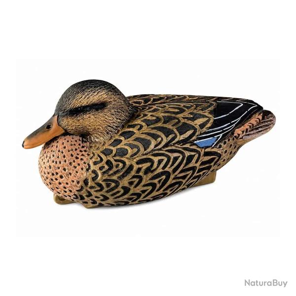 Appelant Colvert Femelle Mousse - 33 cm