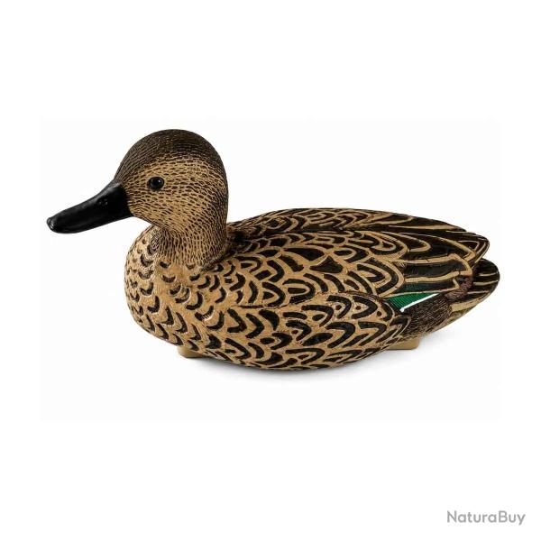 Appelant Sarcelle Femelle en Mousse 28cm