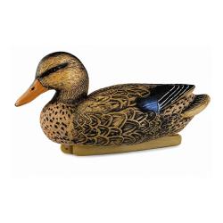 Appelant Colvert Femelle Mousse 35,5 cm - Gibier d'Eau