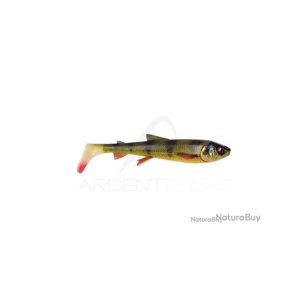 Whitefish shad PERCH