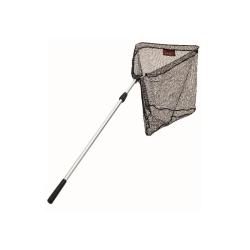 EPUISETTE SERT 200X2 - 50X50 CM