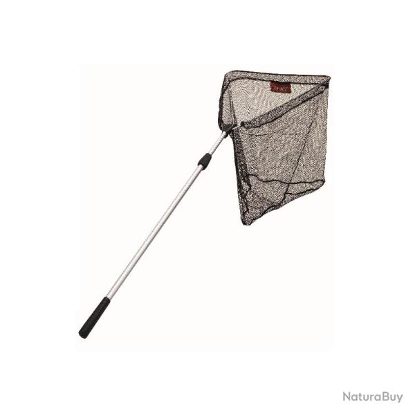 EPUISETTE SERT 200X2 - 50X50 CM
