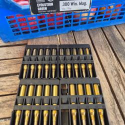 19 Balles 300 RWS Evo Green 9g 139gr