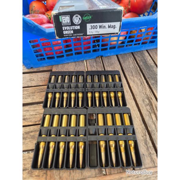 19 Balles 300 RWS Evo Green 9g 139gr