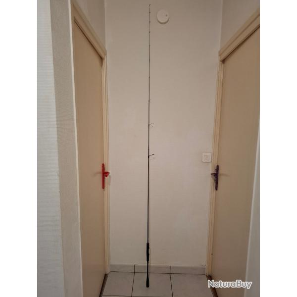 Canne Spinning Shimano Zodias