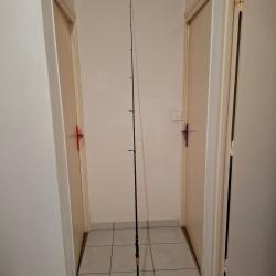 Canne Spinning Shimano Nasci