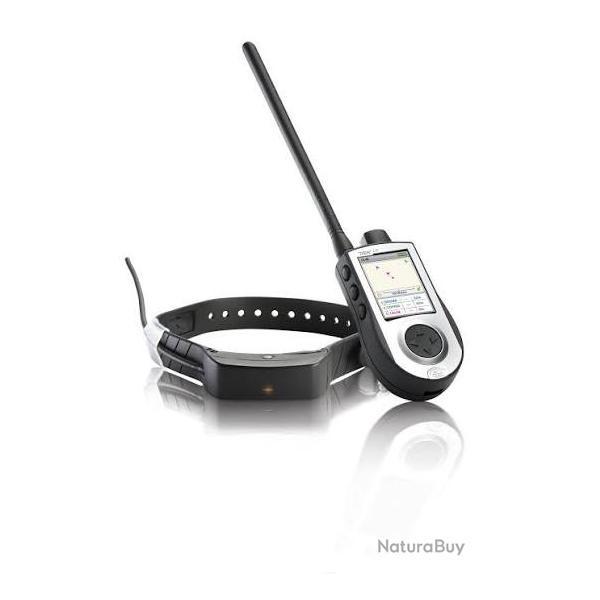 Collier de Rep�rage GPS et Dressage SportDog
